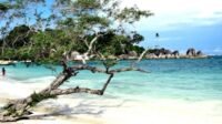 Eksplor Wisata Pantai Cilacap yang Wajib Dikunjungi-kawanomline.co.id