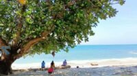 Rekomendasi Objek Wisata yang Dekat dengan Cilacap Airport-kawanonline.co.id