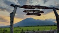 Destinasi Wisata Rekomendasi Taman Baluran Banyuwangi -kawanonline.co.id