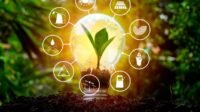 Peluang Investasi di Sektor Energi Terbarukan kawan jalan online