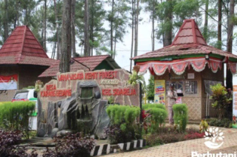 Pesona Wisata Kemit Sidareja Cilacap yang Asri-kawanonline.co.id