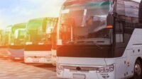 usaha transportasi wisata