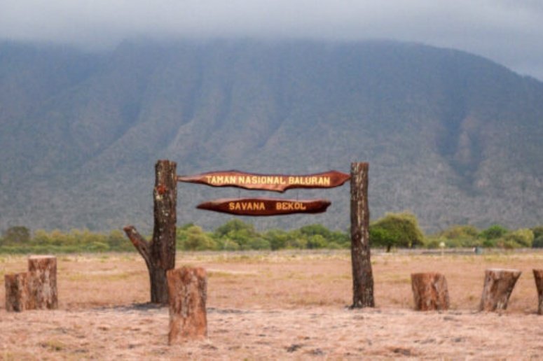 Wahana dan Tempat Berkunjung di Taman Baluran Banyuwangi-kawanonline