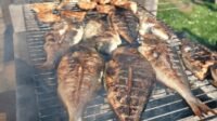 usaha ikan bakar