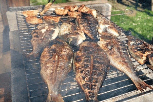 usaha ikan bakar