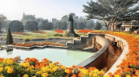 Pesona Taman Bunga Nusantara Flora di Cianjur yang Wajib Dikunjungi!-kawanonline