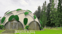 Keindahan Alam di Kebun Raya Bogor-kawanonline