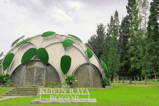Keindahan Alam di Kebun Raya Bogor-kawanonline