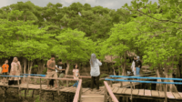 Pesona Keindahan Taman Wisata Pulau Kumayan Kota Bengkulu-kawanonline