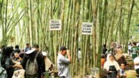 Pasar Papringan Pasar Unik Di Temanggung (1)