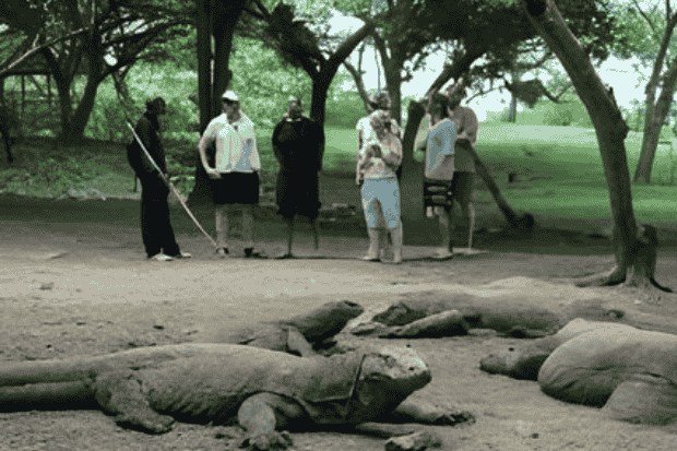 Kehidupan Lokal yang Menguatkan Cerita Perjalanan kawan online