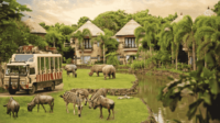 Yuk, Jelajahi Keindahan Taman Safari Bali-kawanonline.co.id