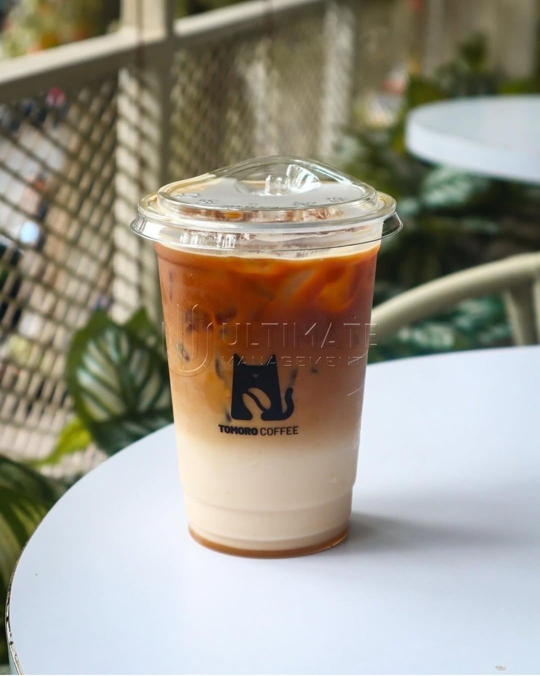 tomoro coffee