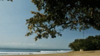 Pantai Batu Karas Pangandaran, Wisata Pantai Indah dengan Tiket Murah dan Hotel Nyaman kawan online