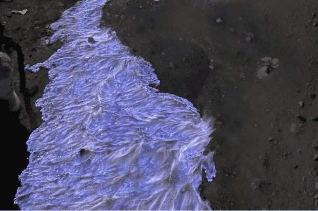 Blue Fire Kawah Ijen Fenomena Langka yang Mencuri Perhatian Dunia