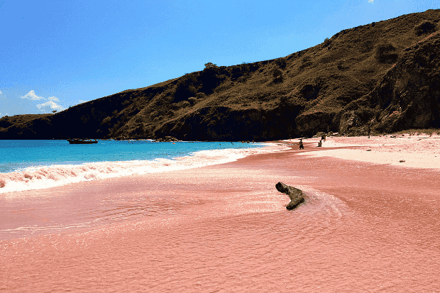 Pesona Pink Beach Labuan Bajo yang Bikin Liburan Berkesan
