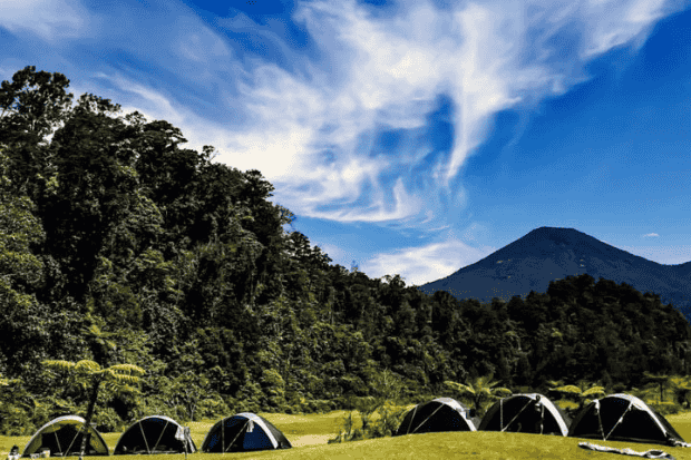 Camping Edukasi di Taman Nasional Gunung Gede Pangrango