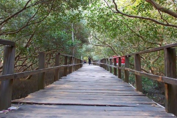 Daya Tarik Edukasi Lingkungan yang Menonjol