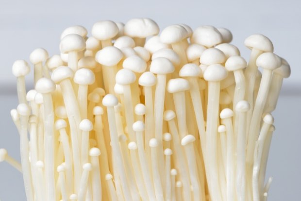 Fakta Mengenai Risiko Kontaminasi