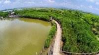 Mangrove Edupark Tapak Wisata Edukasi Alam