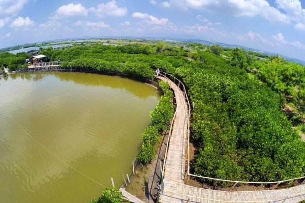 Mangrove Edupark Tapak Wisata Edukasi Alam