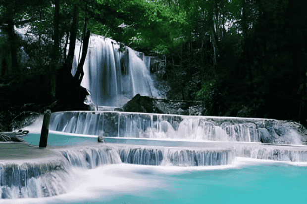 Daya Tarik Alam yang Menghidupkan Indra