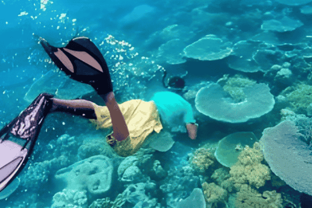 Kehidupan Pesisir yang Menyatu dengan Laut