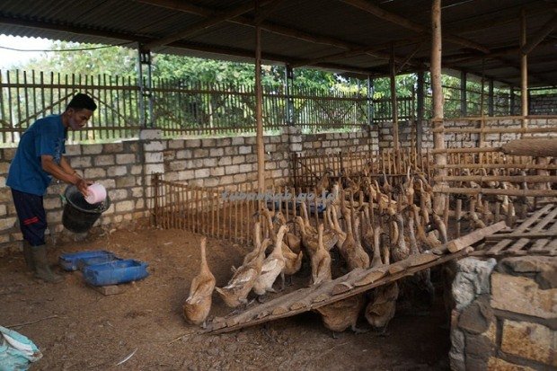 Kesehatan dan pencegahan penyakit