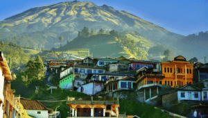 Menapaki Keindahan Wisata Nepal Van Java di Lereng Gunung Sumbing