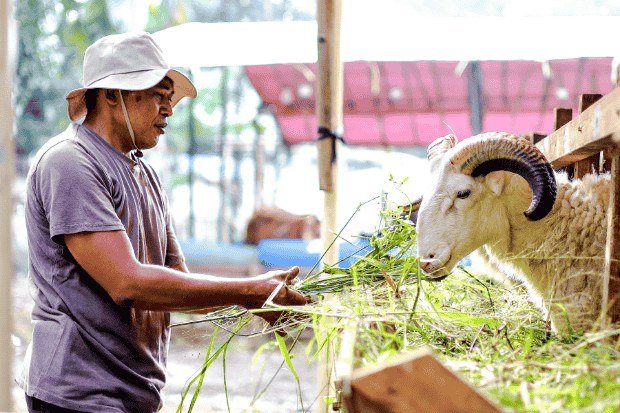 Menentukan Skala Usaha yang Realistis