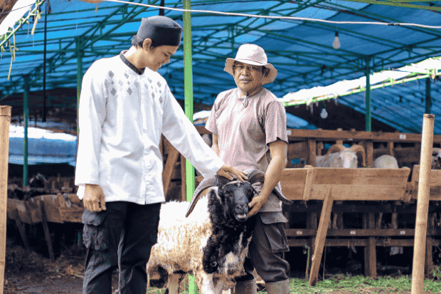 Menumbuhkan Usaha Ternak Kambing sebagai Pilar Bisnis Berkelanjutan