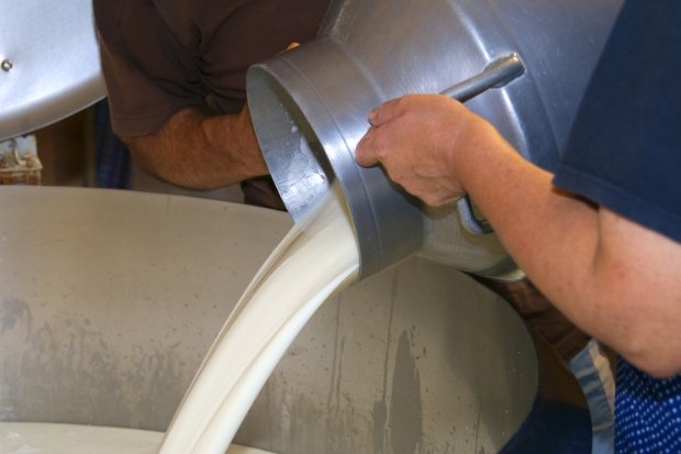 Perbedaan susu segar dan susu olahan kawan online