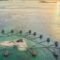 Pulau Cinta Destinasi Wisata Romantis yang Menyatu dengan Alam kawan online