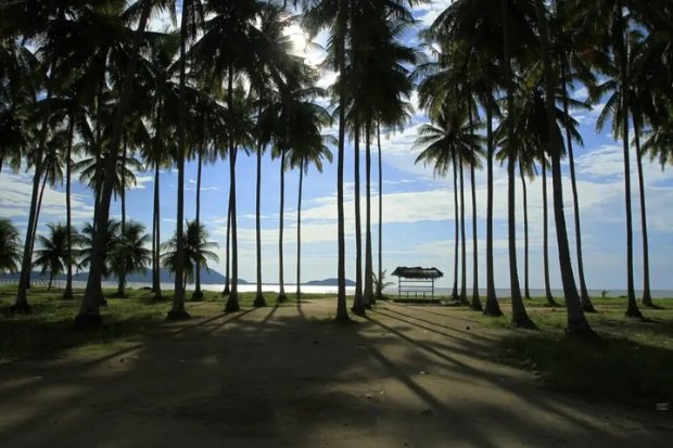Peran Pantai Kijing dalam Pengembangan Wilayah kawan online