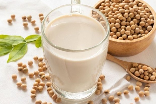 Yogurt Kedelai sebagai Pangan Fungsional Alternatif Modern kawan online