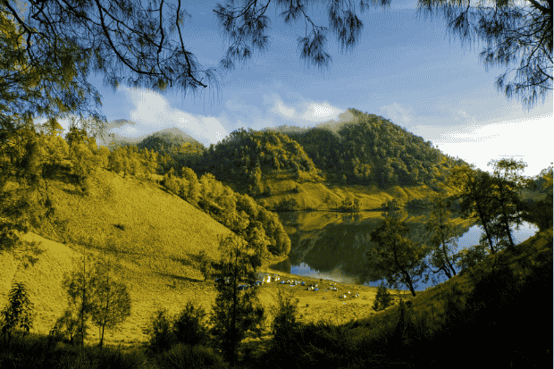 Perjalanan Menuju Ranu Kumbolo kawan online