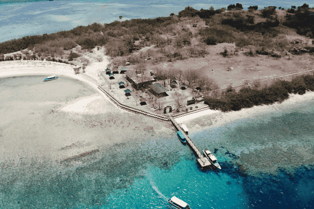 Pulau Menjangan Bali, Surga Sunyi untuk Pecinta Laut dan Alam Liar kawan online