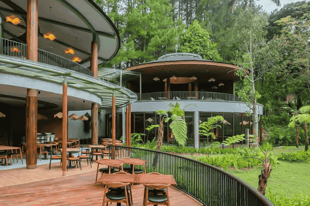 Daya Tarik Enchanting Valley Bogor yang Membuat Betah kawan online