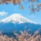 Gunung Fuji, Gunung Tertinggi di Jepang yang Menjadi Ikon Negeri Sakura kawan online
