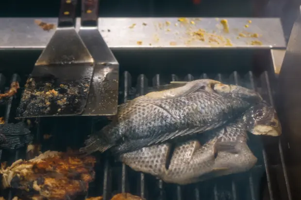 Ikan Nila di Atas Panggangan kawan online