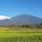 Gunung Ciremai, Lokasi, Ketinggian, Daya Tarik, dan Fakta Menariknya kawan online